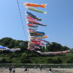 相模川鯉のぼり祭り